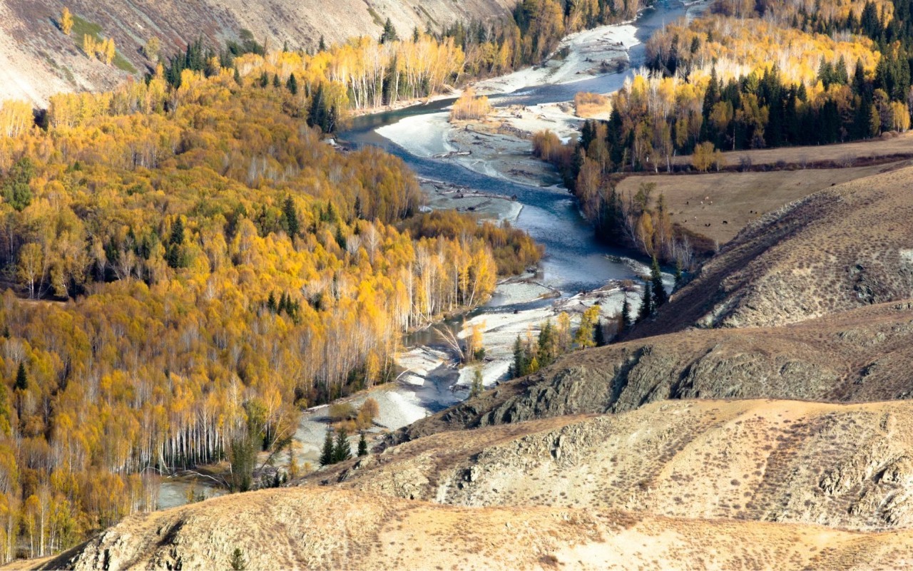 新疆的魅力与风情