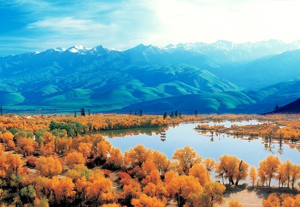 新疆,多元文化交融与绿色发展的璀璨明珠