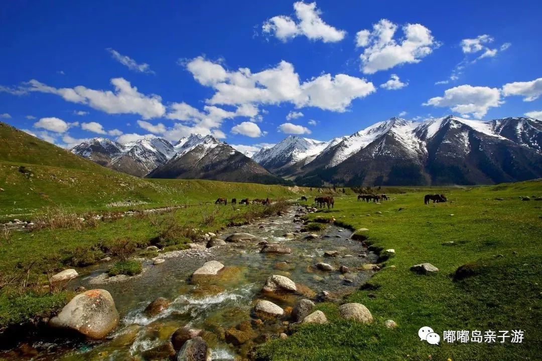 新疆,多元文化交融与绿色发展的璀璨明珠